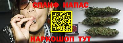 прущие грибы Малоярославец