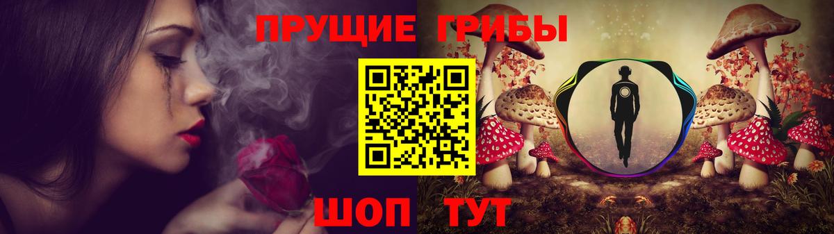 Псилоцибиновые грибы прущие грибы  Вход с VPN  Гусь-Хрустальный 